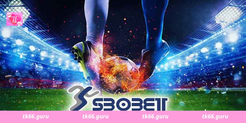 Sbobet Tk66